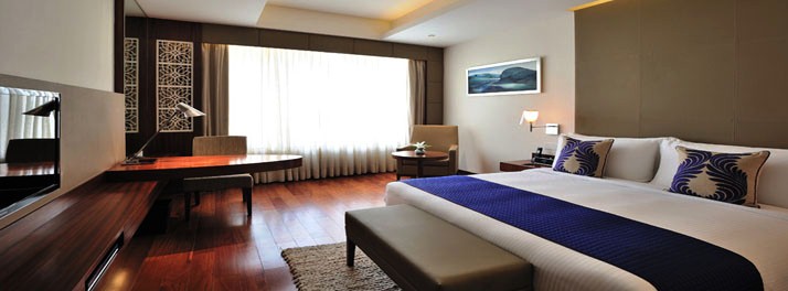 1036/Anya Hotel - Gurugram 11.jpg